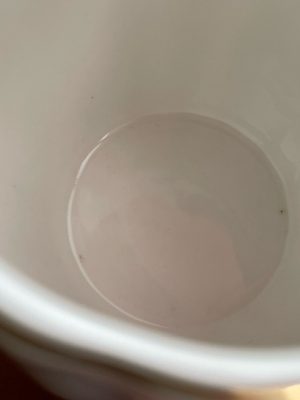 Alternative view of Porcelanasta Royal Rose skodelica v beli barvi z zlatim robom 320 ml Isabelle Rose - Z NAPAKO