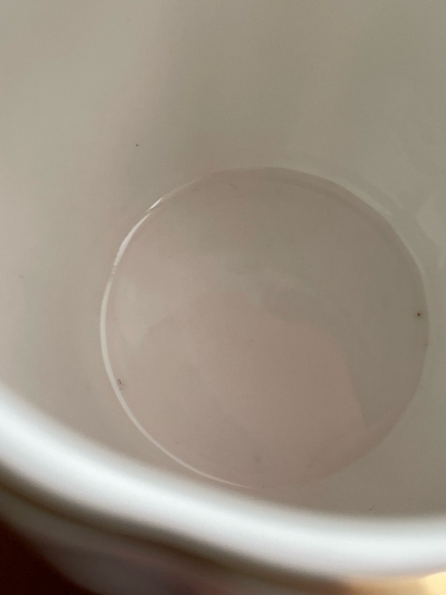 Porcelanasta Royal Rose skodelica v beli barvi z zlatim robom 320 ml Isabelle Rose - Z NAPAKO - slika 2